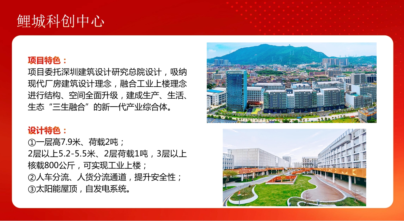 成人网站